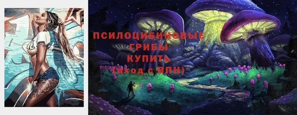 а пвп мука Алзамай