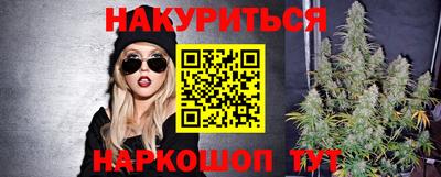 дмт Ставрополь