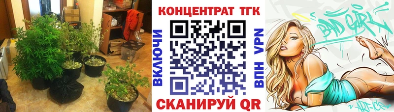 магазин продажи наркотиков  Шахты  ТГК Wax 