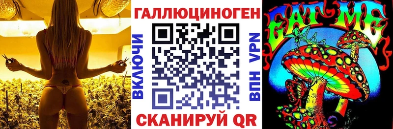 Псилоцибиновые грибы мицелий  Шахты 