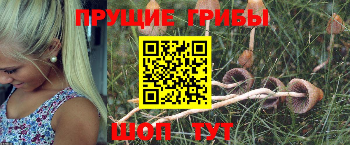 Галлюциногенные грибы GOLDEN TEACHER  Вход с VPN  Шахты 